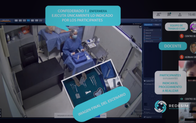 EXPERIENCIA HÍBRIDA EN LA VIRTUALIZACIÓN DE LA DOCENCIA MÉDICA